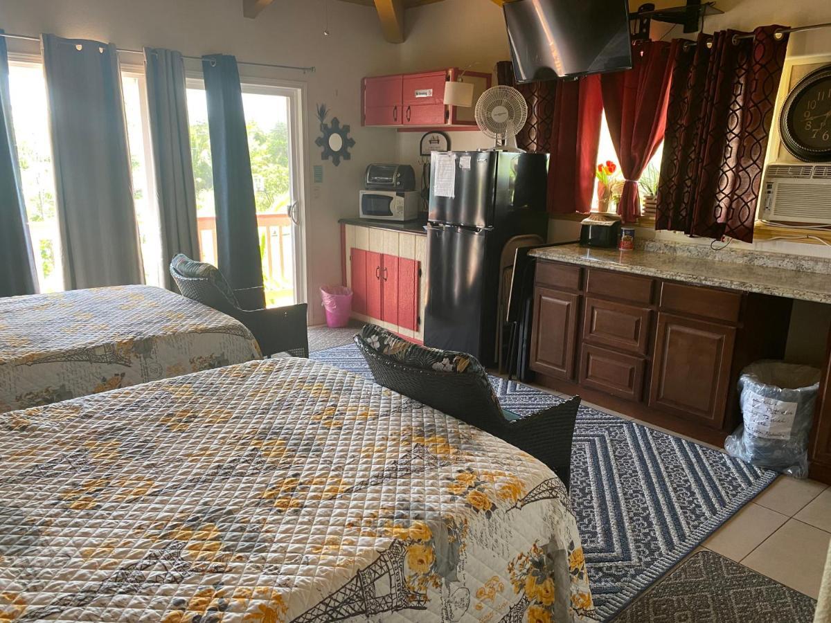 Nice Studio W/ Ac Near Kehena Beach And Lava Fields מראה חיצוני תמונה
